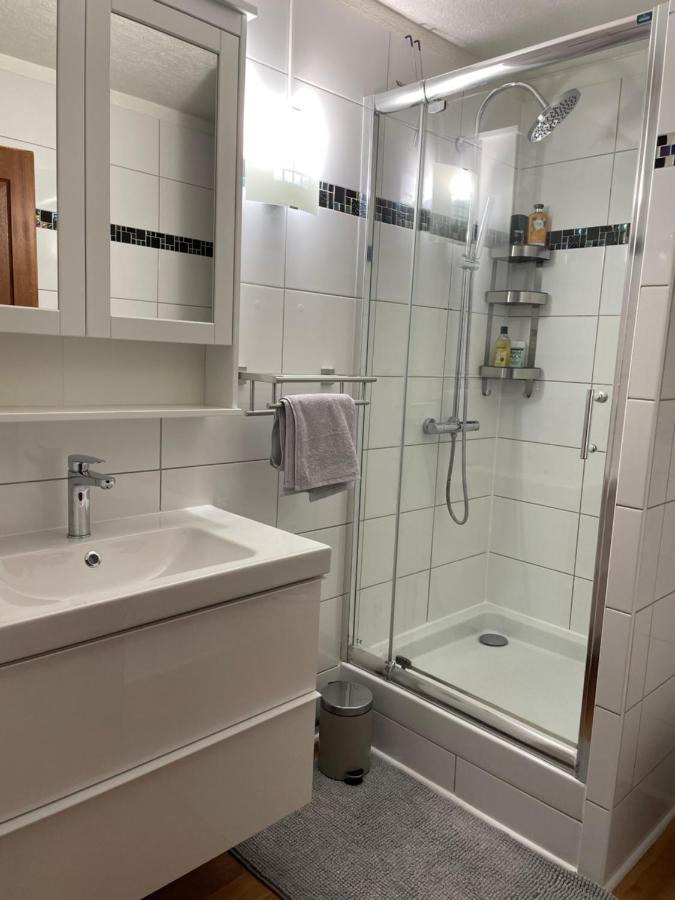 Appartement La Petite Venise كولمار المظهر الخارجي الصورة
